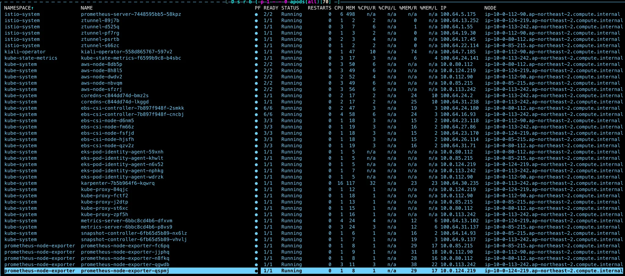 custom-networking-result