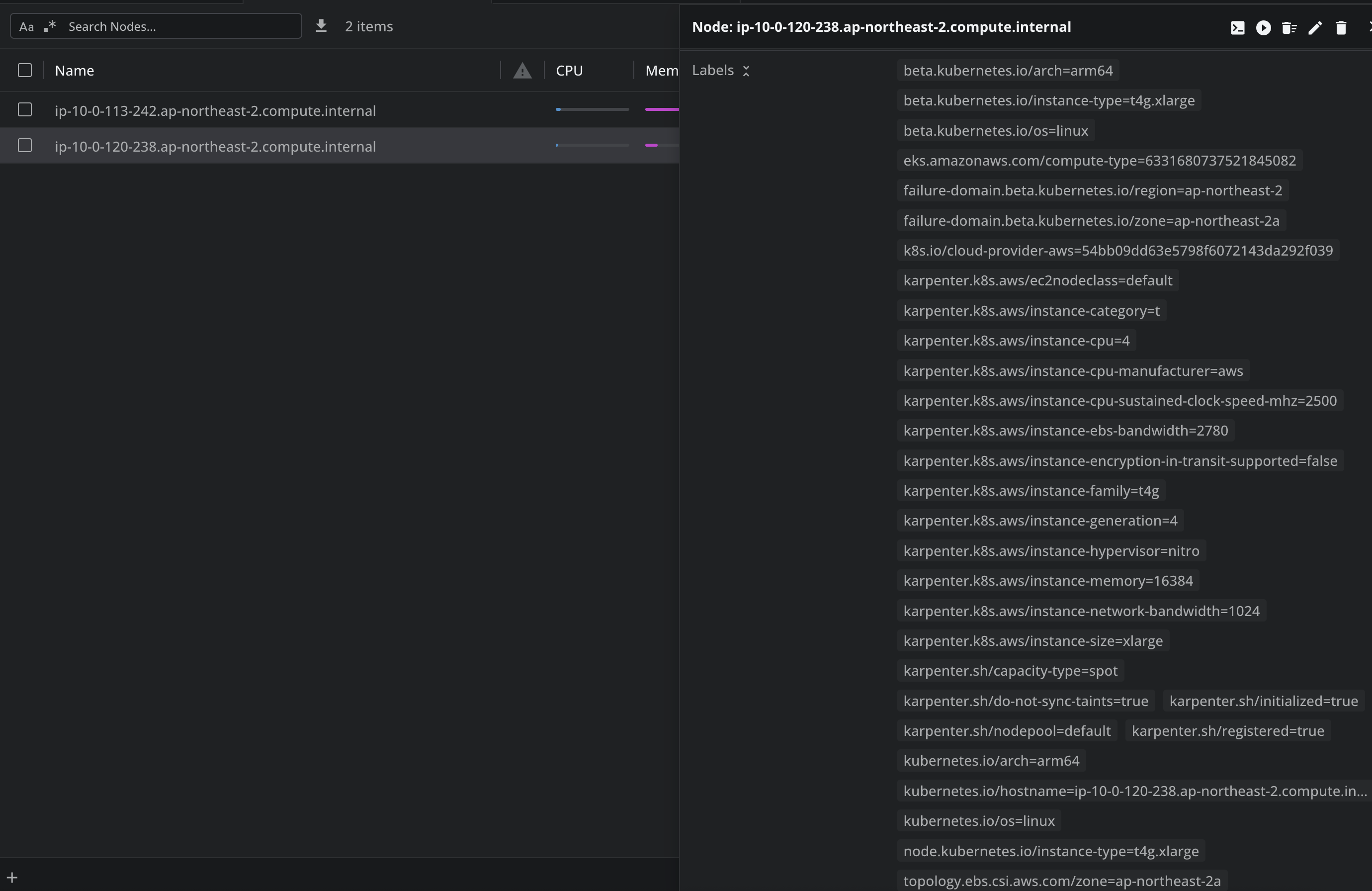 karpenter-node